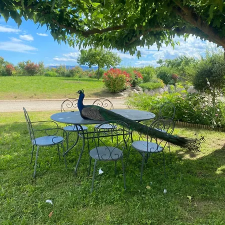 Homestay Le Domaine D'adrien Larnage